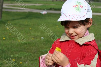 little girl in red coat tear flower dandelion