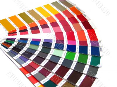 color sample for business