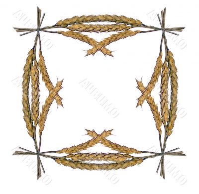 Framework from ears of wheat 1