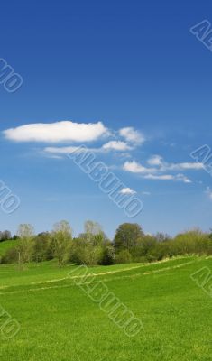 grass