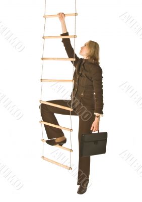 Career ladder