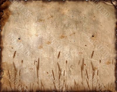 background image with ornamental elements