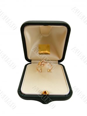 ring_1 ring_1
