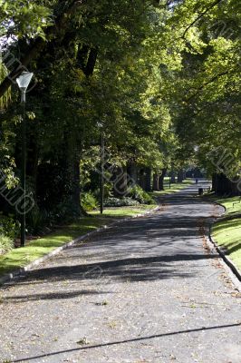 lane in the park