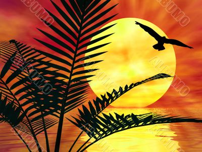 Palm tree landscape Palm tree landscape