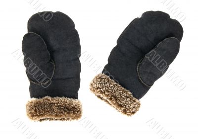 Leather mittens on white background