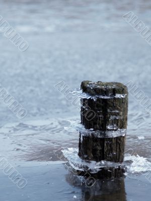 iced log iced log