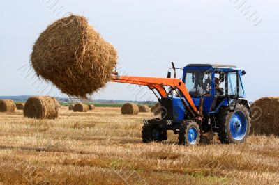 Haymaking