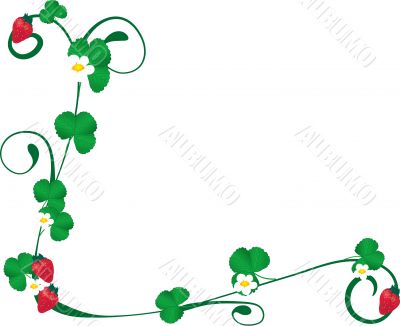 Strawberry corner Strawberry corner