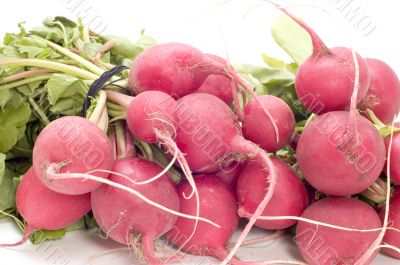 radish on white