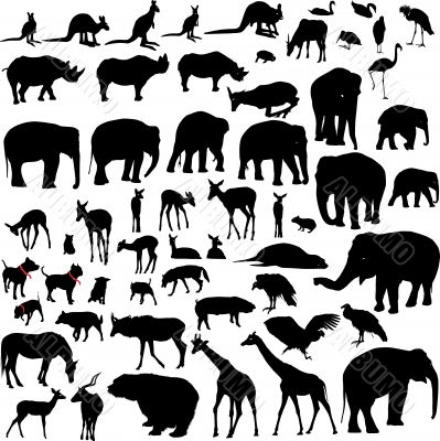 Lots of Animal vector silhouettes