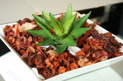 Decorative houseplant