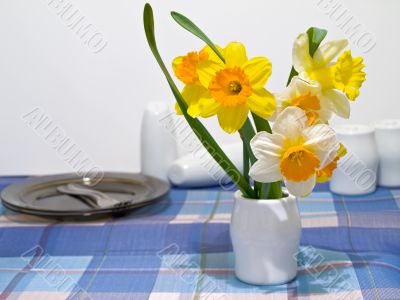 narcissus and crockery