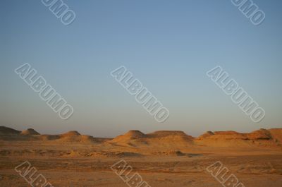 Desert landscape