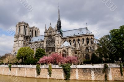 Notre Dame de Paris