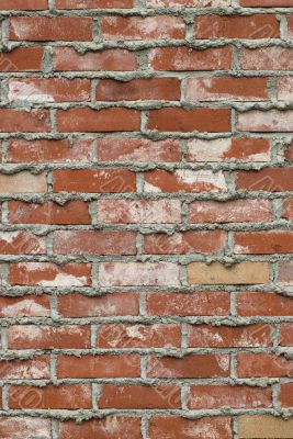 Brick Wall Background