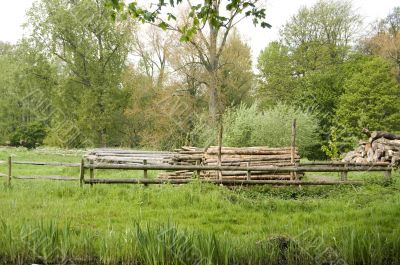 woodpile in an open field