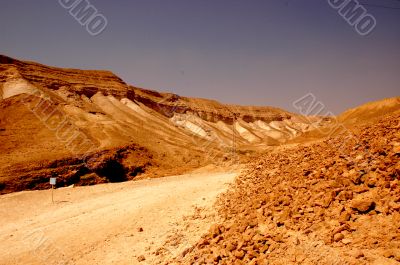 Yellow Desert