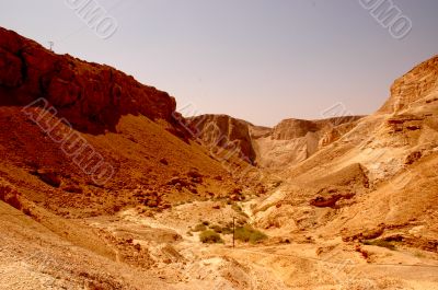 Yellow Desert Yellow Desert