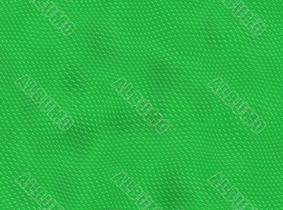 Green reptile skin