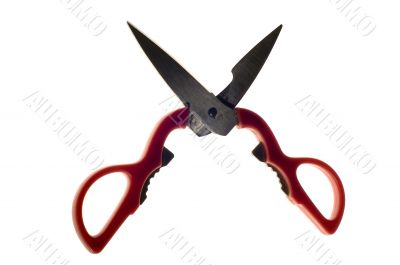 Open scissors