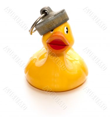 Plastic duck