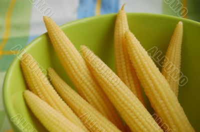Prickles Prickles