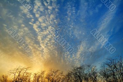 Beautiful sky on sunset