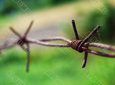 Barbed wire