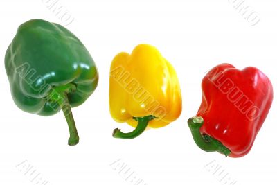 Red yellow green bulgarian pepper.jpg