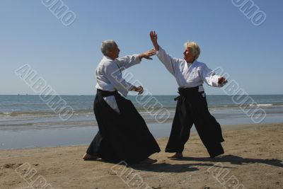 aikido sur la plage