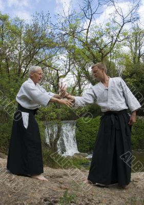 training of Aikido