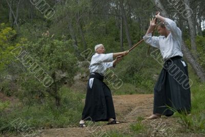 training of Aikido