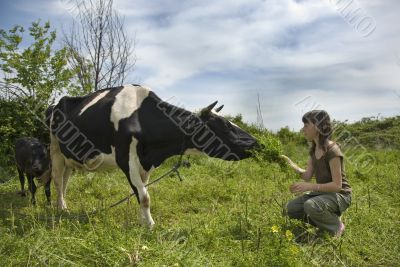girl and the cow