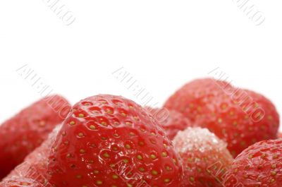 strawberries on white