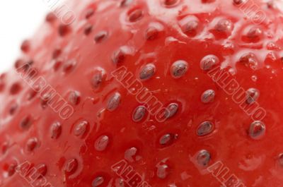 strawberry macro