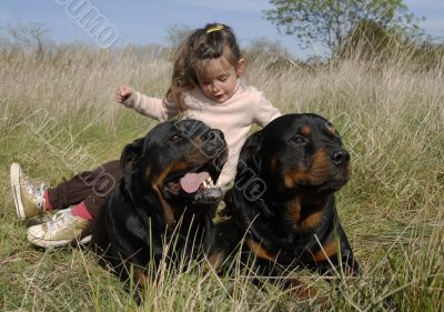 dangerous dogs and child