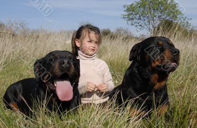 dangerous dogs and child
