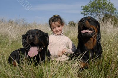 dangerous dogs and child