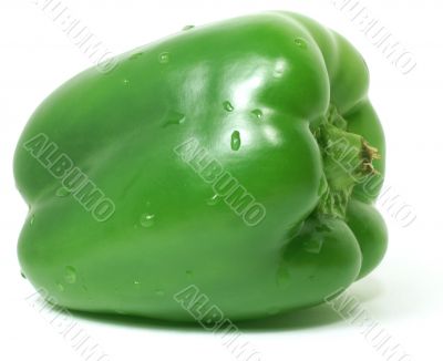 Green paprika 5