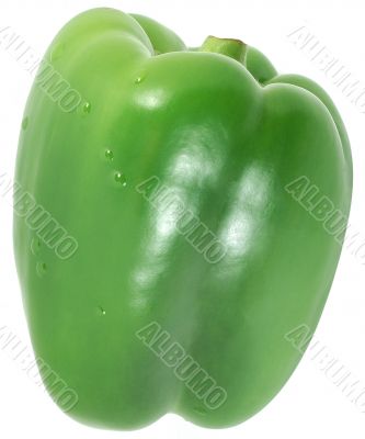 Green paprika 3