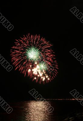 red and green floral fireworks