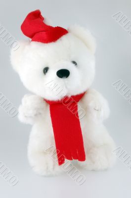 Teddy bear with Santa hat on a white background