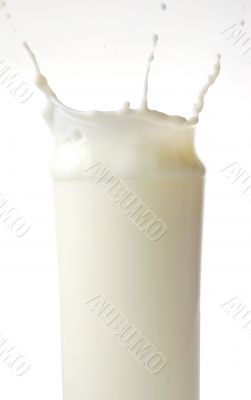 Milk Milk