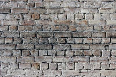 Bricks. texture