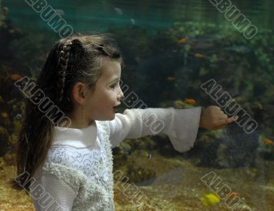 little girl and aquarium
