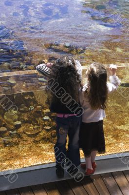 two sisters and big aquarium