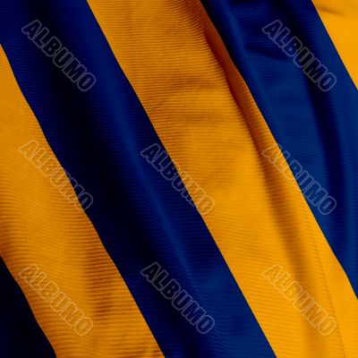 Blue and Yellow Team Colors Flag