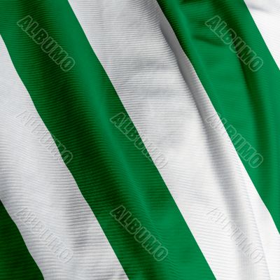 White and Green Team Colors Flag