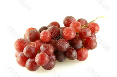 Bunch of grape with water drops